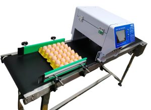 IEGG Speedline: Codificadora industrial de huevos con banda transportadora integrada y hasta 6 cartuchos, diseñada para producción continua y de alto volumen.
Imprime fechas, lotes, códigos y logotipos con tinta comestible, alcanzando hasta 50.000 huevos por hora.
La solución ideal para plantas avícolas que requieren velocidad, automatización y confiabilidad industrial.